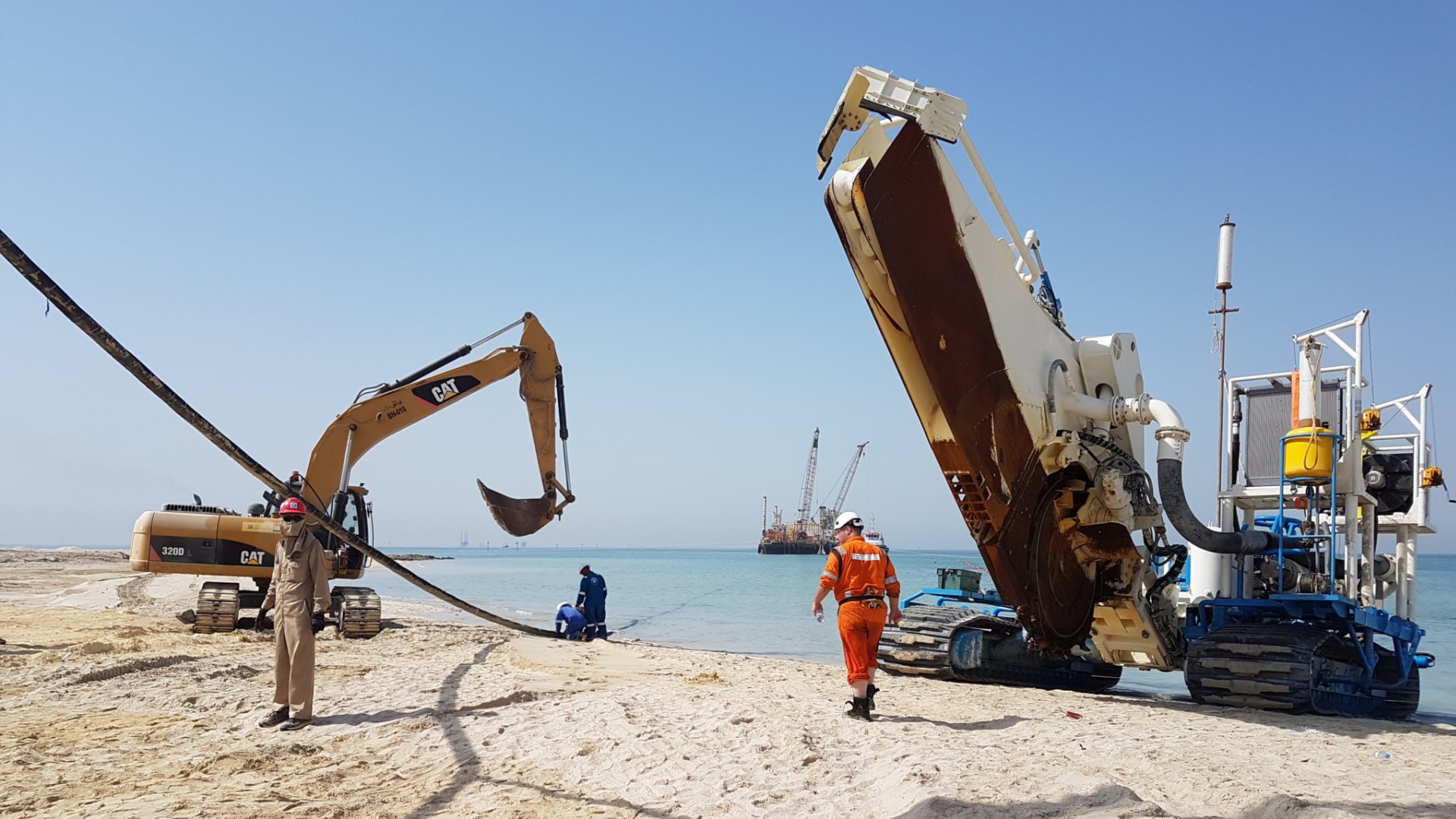 The Web Is Dying Owing To Climate Change The Web Is Dying Owing To Climate Change